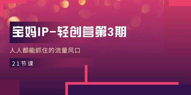 宝妈IP-轻创营第3期，人人都能抓住的流量风口(21节课-轻创网