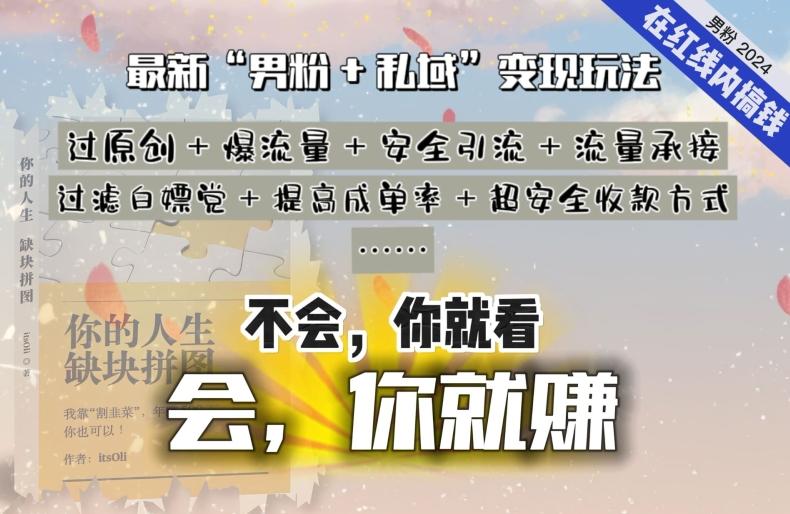 2024，“男粉+私域”还是最耐造、最赚、最轻松、最愉快的变现方式【揭秘】-轻创网