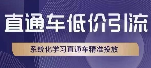 直通车低价引流课，系统化学习直通车精准投放-轻创网