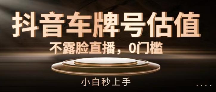 抖音车牌号估值，不露脸直播，0门槛，小白秒上手【揭秘】-轻创网