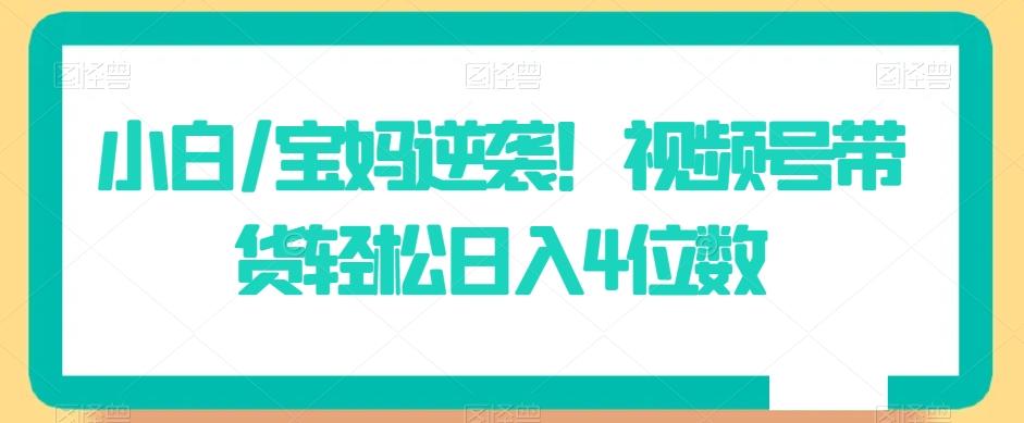 小白/宝妈逆袭！视频号带货轻松日入4位数【揭秘】-轻创网