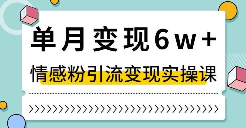 单月变现6W+，抖音情感粉引流变现实操课，小白可做，轻松上手，独家赛道【揭秘】-轻创网
