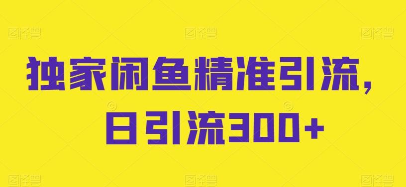 独家闲鱼精准引流，日引流300+【揭秘】-轻创网