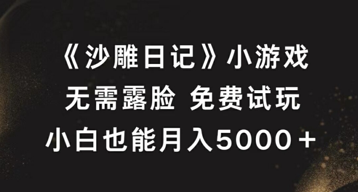 《沙雕日记》小游戏，无需露脸免费试玩，小白也能月入5000+【揭秘】-轻创网
