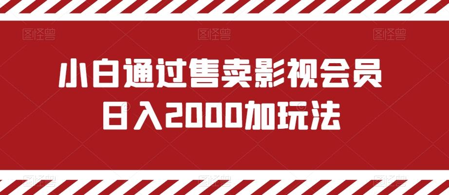 小白通过售卖影视会员日入2000加玩法-轻创网