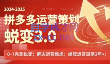 大力老师·2024拼多多运营策略蜕变3.0-轻创网