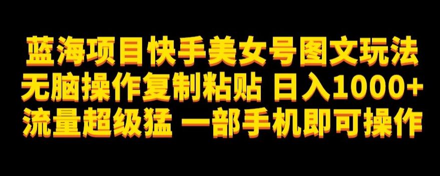 蓝海项目快手美女号图文玩法，无脑操作复制粘贴，日入1000+流量超级猛一部手机即可操作【揭秘】-轻创网