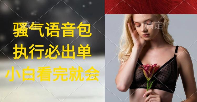 (9589期)执行就出单，日入2000+，超火骚气语音包，小白看完课程就能马上实操-轻创网
