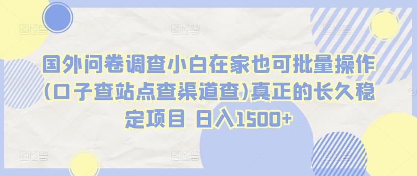 国外问卷调查小白在家也可批量操作(口子查站点查渠道查)真正的长久稳定项目 日入1500+【揭秘】-轻创网