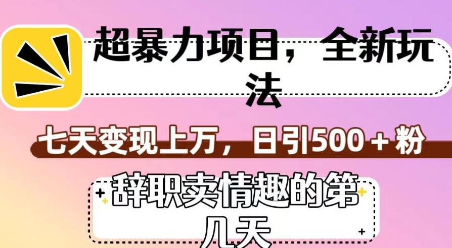 超暴利项目，全新玩法（辞职卖情趣的第几天），七天变现上万，日引500+粉【揭秘】-轻创网