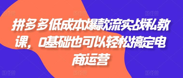 拼多多低成本爆款流实战私教课，0基础也可以轻松搞定电商运营-轻创网