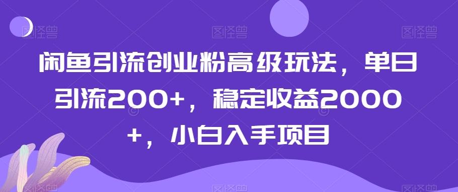闲鱼引流创业粉高级玩法，单日引流200+，稳定收益2000+，小白入手项目-轻创网