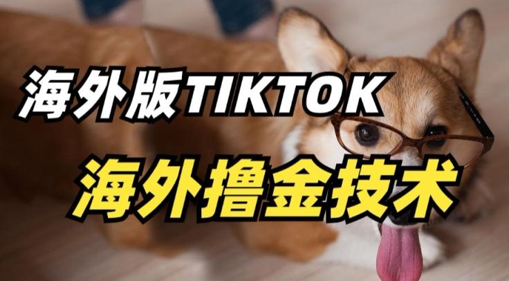 抖音海外版tiktok撸金技术，这个风口行业，赚钱真的不难【揭秘】-轻创网