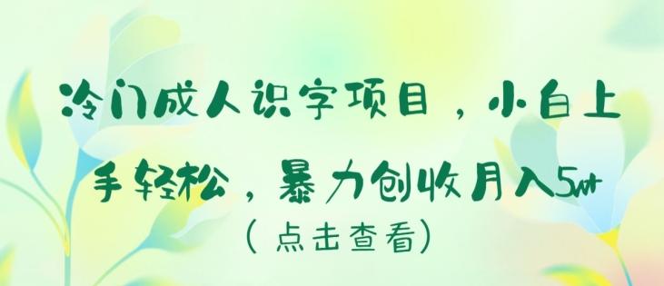 冷门成人识字项目，小白上手轻松，暴力创收月入5w+【揭秘】-轻创网