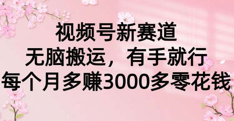 (9278期)视频号新赛道，无脑搬运，有手就行，每个月多赚3000多零花钱-轻创网