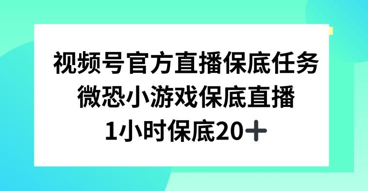 视频号直播任务，微恐小游戏，1小时20+【揭秘】-轻创网