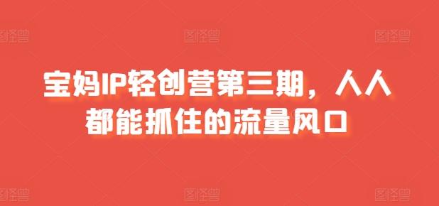 宝妈IP轻创营第三期，人人都能抓住的流量风口-轻创网