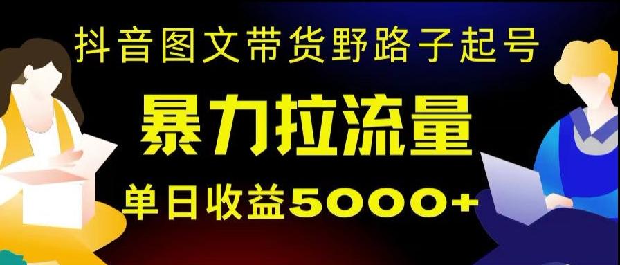 抖音图文带货暴力起号，单日收益5000+，野路子玩法，简单易上手，一部手机即可【揭秘】-轻创网