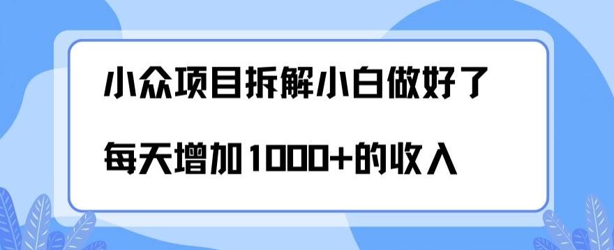 小众项目拆解，小白做好了每天可增加1000多的收入-轻创网
