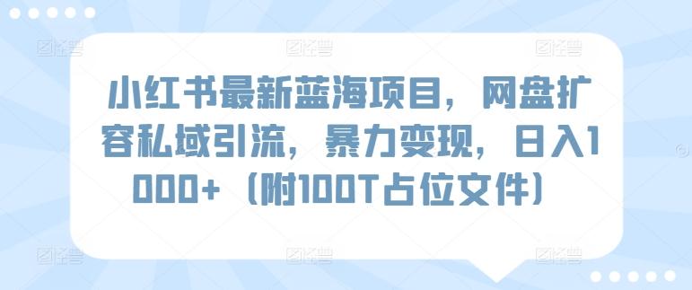 小红书最新蓝海项目，网盘扩容私域引流，暴力变现，日入1000+(附100T占位文件)【揭秘】-轻创网