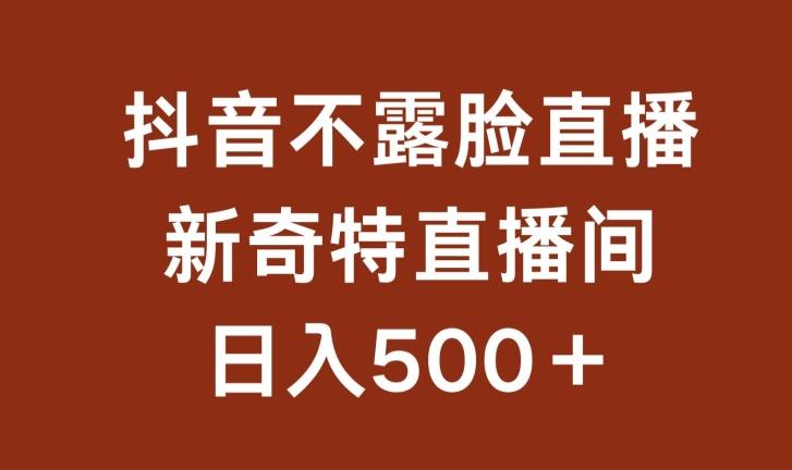 不露脸挂机直播，新奇特直播间，日入500+【揭秘】-轻创网