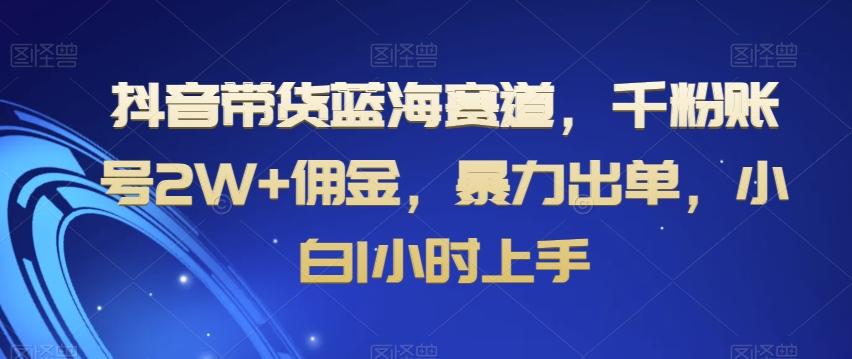 抖音带货蓝海赛道，千粉账号2W+佣金，暴力出单，小白1小时上手【揭秘】-轻创网