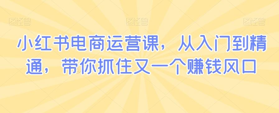 小红书电商运营课，从入门到精通，带你抓住又一个赚钱风口-轻创网