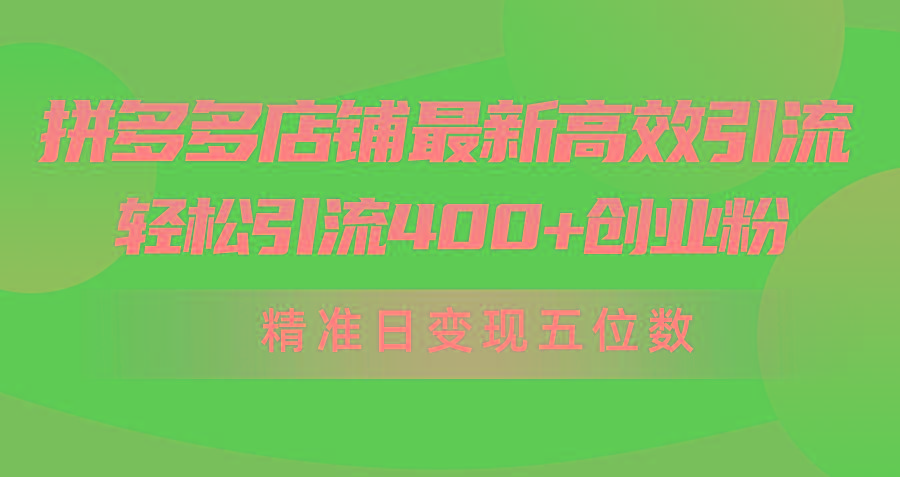 (10041期)拼多多店铺最新高效引流术，轻松引流400+创业粉，精准日变现五位数！-轻创网