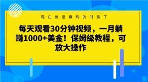 每天观看30分钟视频，一月躺赚1000+美金！保姆级教程，可放大操作【揭秘】-轻创网