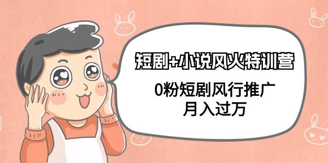 (9374期)短剧+小说风火特训营，0粉短剧风行推广，月入过万(102节课)-轻创网
