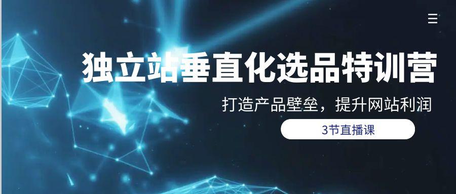 (9925期)独立站-垂直化选品训练营，打造产品壁垒，提升网站利润(3节直播课)-轻创网