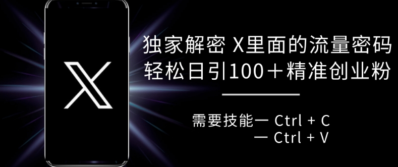 独家解密 X 里面的流量密码，复制粘贴轻松日引100+-轻创网