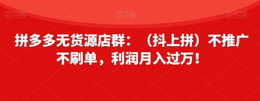 拼多多无货源店群：（抖上拼）不推广不刷单，利润月入过万！【揭秘】-轻创网