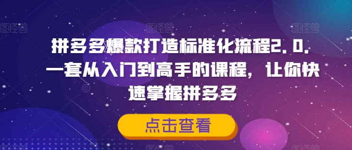 拼多多爆款打造标准化流程2.0，一套从入门到高手的课程，让你快速掌握拼多多-轻创网