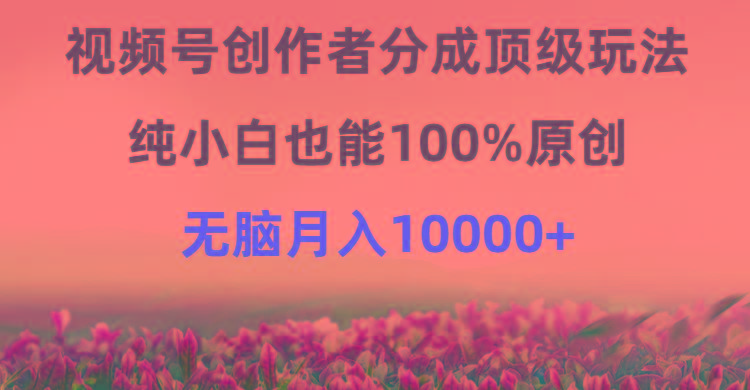 (9608期)视频号创作者分成顶级玩法，纯小白也能100%原创，无脑月入10000+-轻创网