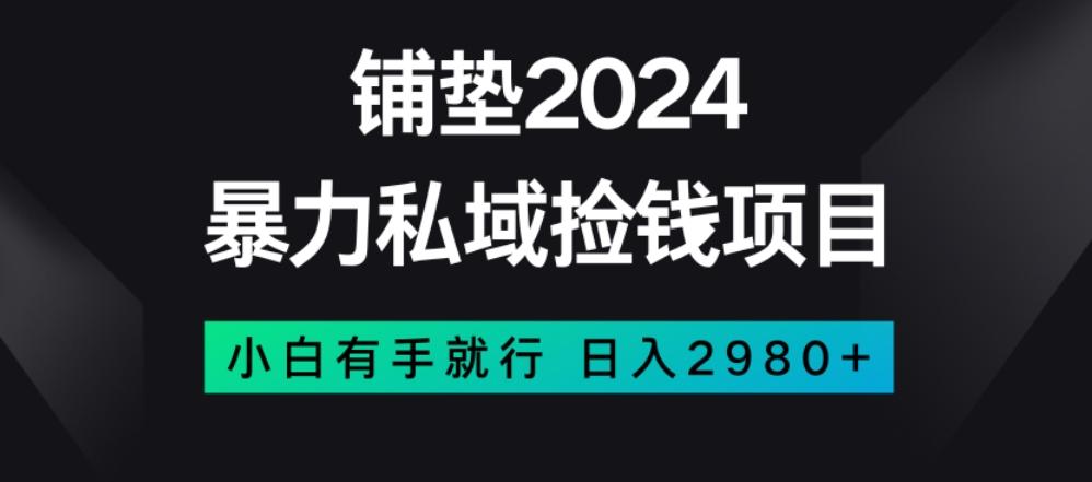 暴力私域捡钱项目，小白无脑操作，日入2980【揭秘】-轻创网