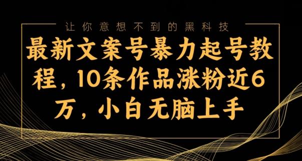 最新文案号暴力起号教程，10条作品涨粉近6万，小白无脑上手-轻创网