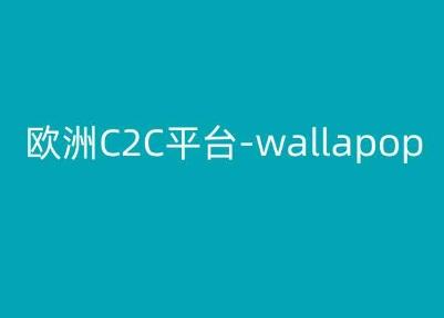欧洲C2C平台-wallapop-kim跨境电商教程-轻创网