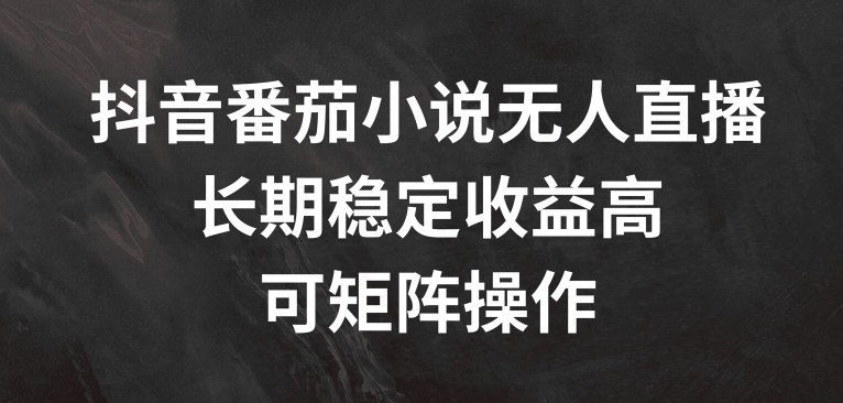 抖音番茄小说无人直播，长期稳定收益高，可矩阵操作【揭秘】-轻创网