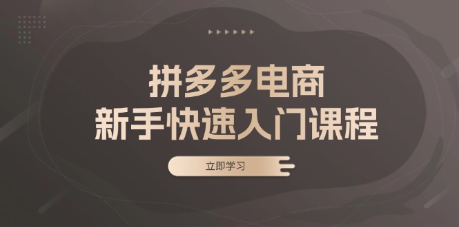 拼多多电商新手快速入门课程：涵盖基础、实战与选款，助力小白轻松上手-轻创网