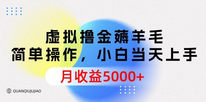 (9864期)虚拟撸金薅羊毛，简单操作，小白当天上手，月收益5000+-轻创网