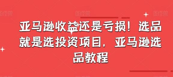 亚马逊收益还是亏损！选品就是选投资项目，亚马逊选品教程-轻创网