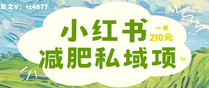 小红书减肥粉，私域变现项目，一单就达210元，小白也能轻松上手【揭秘】-轻创网