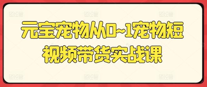 元宝宠物从0~1宠物短视频带货实战课-轻创网