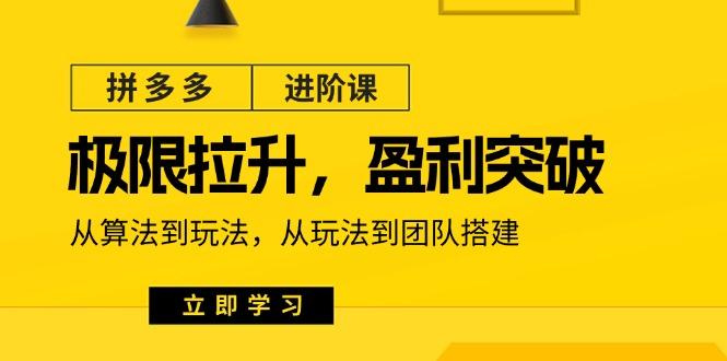 拼多多·进阶课：极限拉升/盈利突破：从算法到玩法 从玩法到团队搭建-18节-轻创网