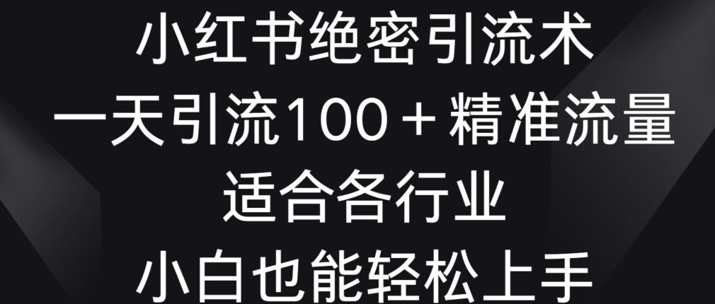 小红书绝密引流术，一天引流100+精准流量，适合各个行业，小白也能轻松上手【揭秘】-轻创网