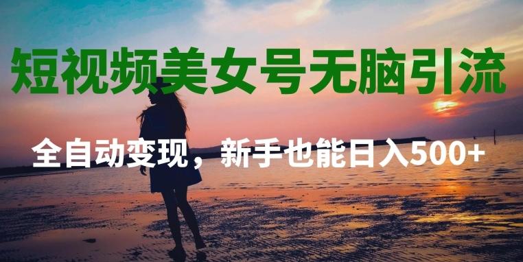 短视频美女号无脑引流，全自动变现，新手也能日入500+-轻创网