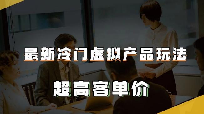 最新冷门虚拟产品玩法，超高客单价，月入2-3万＋【揭秘】-轻创网