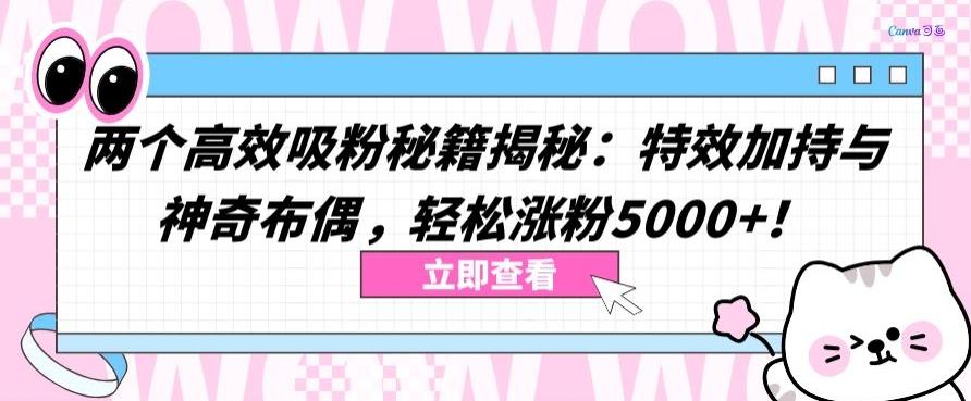 两个高效吸粉秘籍揭秘：特效加持与神奇布偶，轻松涨粉5000+【揭秘】-轻创网