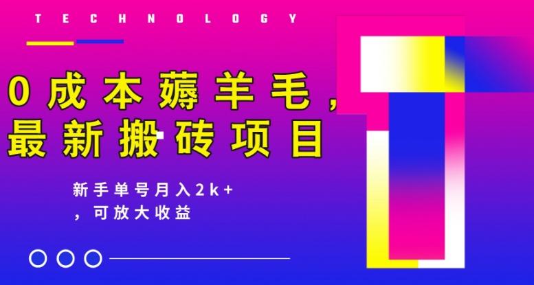 0成本薅羊毛，最新搬砖项目，新手单号月入2k+，可放大操作-轻创网